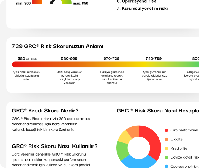 Risk Score Chart