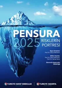 Pensura 2025 · Portrait of Risks