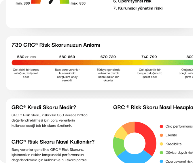 Risk Score Chart